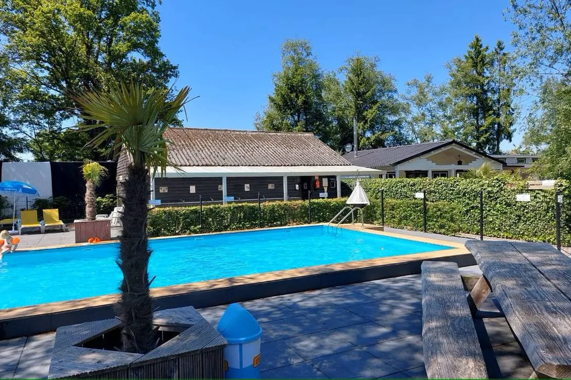 Zwembad met palmboom en ligstoelen naast verblijfsgebouwen op Camping Emmen