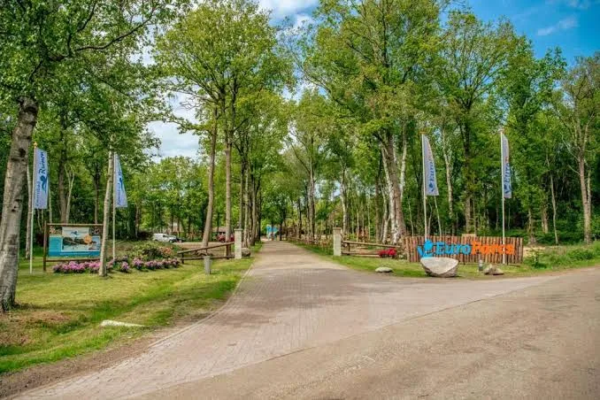 Ingang van vakantiepark EuroParcs Ruinen, met toegangsweg tussen de bomen