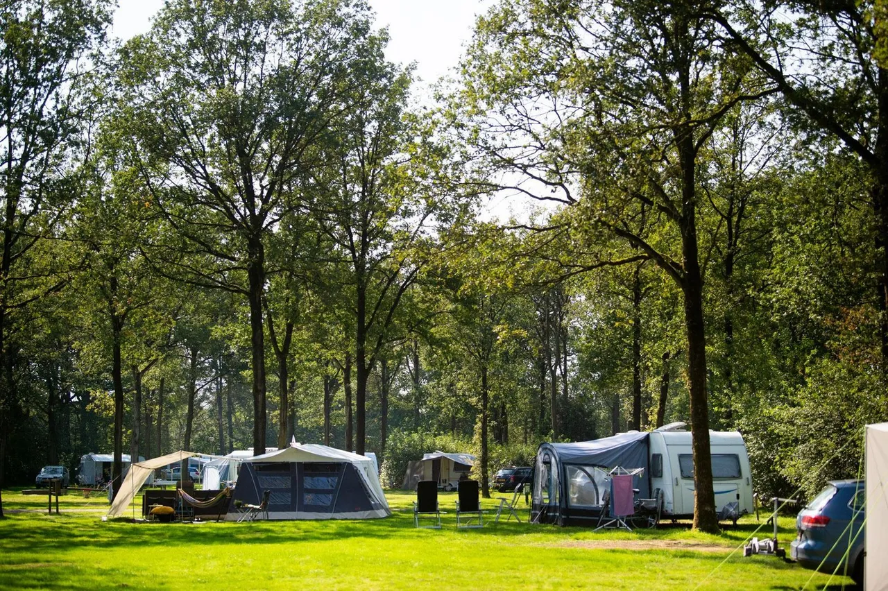 Kampeerplaatsen met tenten en caravans onder hoge bomen op Park Drentheland